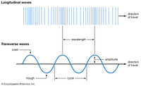 oscillations and mechanical waves - Class 8 - Quizizz