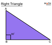 Pythagorean Theorem