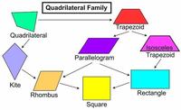 Quadrilaterals Flashcards - Quizizz