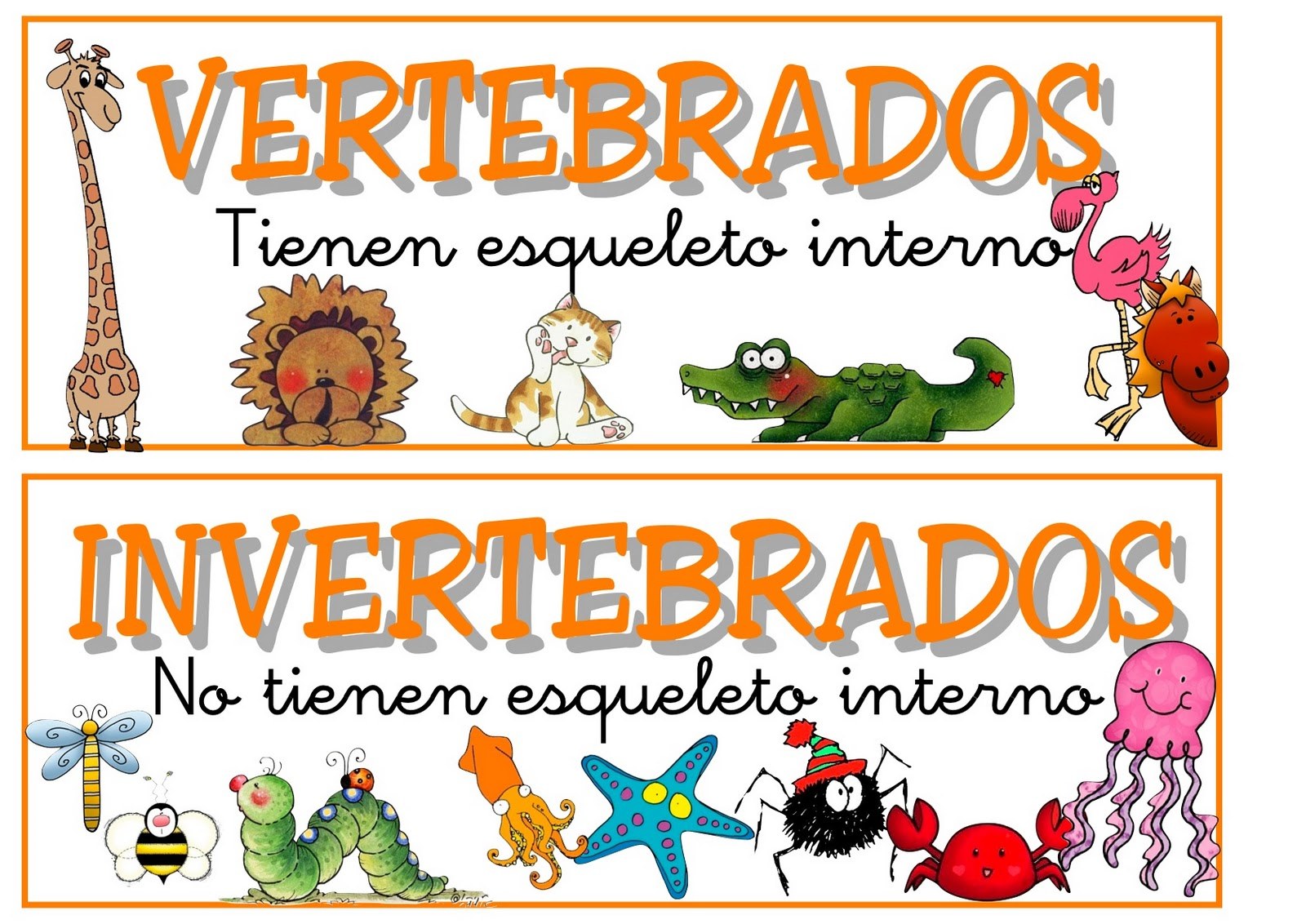 vertebrados e invertebrados - Grado 12 - Quizizz