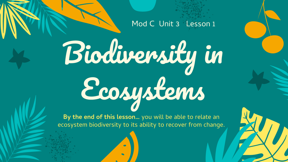 Mod C Unit 3 Lesson 1 Biodiversity In Ecosystems | Quizizz