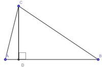 angle side relationships in triangles - Year 10 - Quizizz