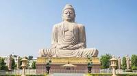 origins of buddhism - Class 6 - Quizizz