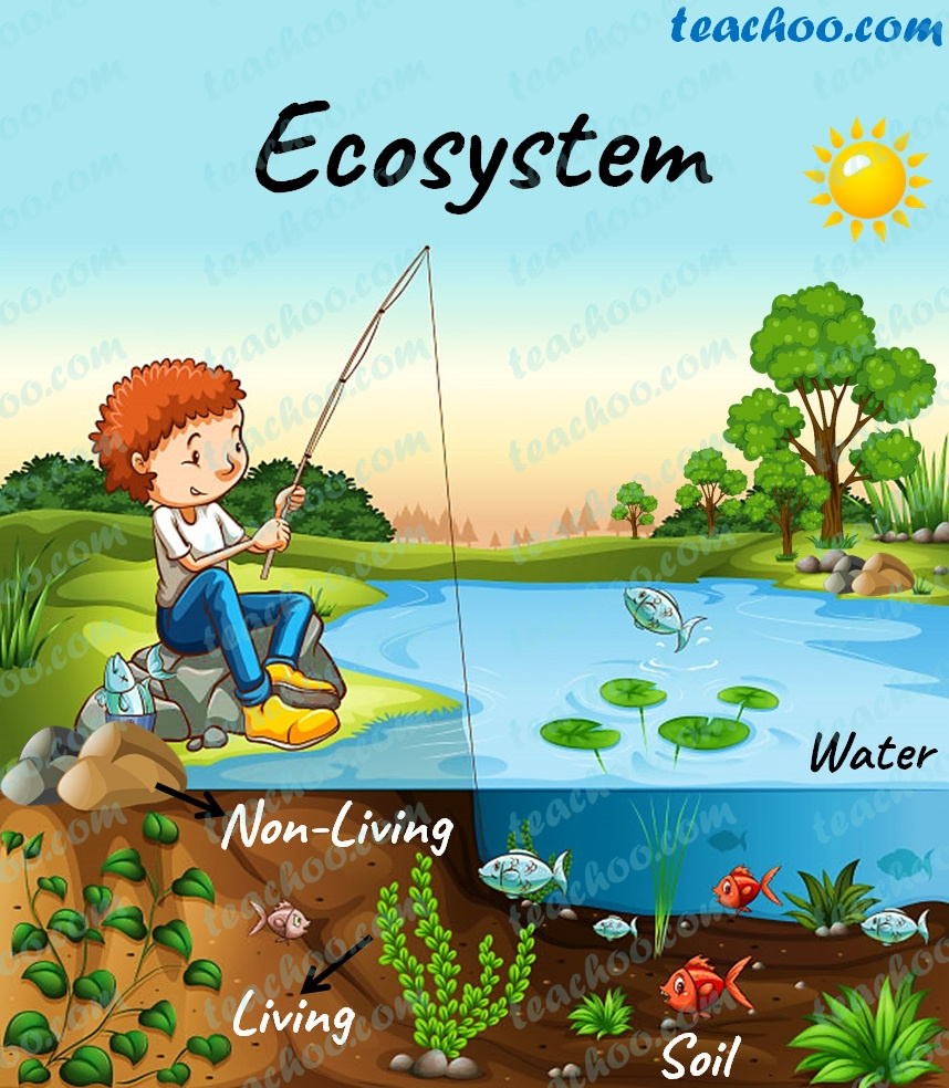 ecosystems - Class 10 - Quizizz