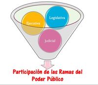 el poder judicial - Grado 1 - Quizizz