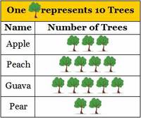 Scaled Pictographs Flashcards - Quizizz