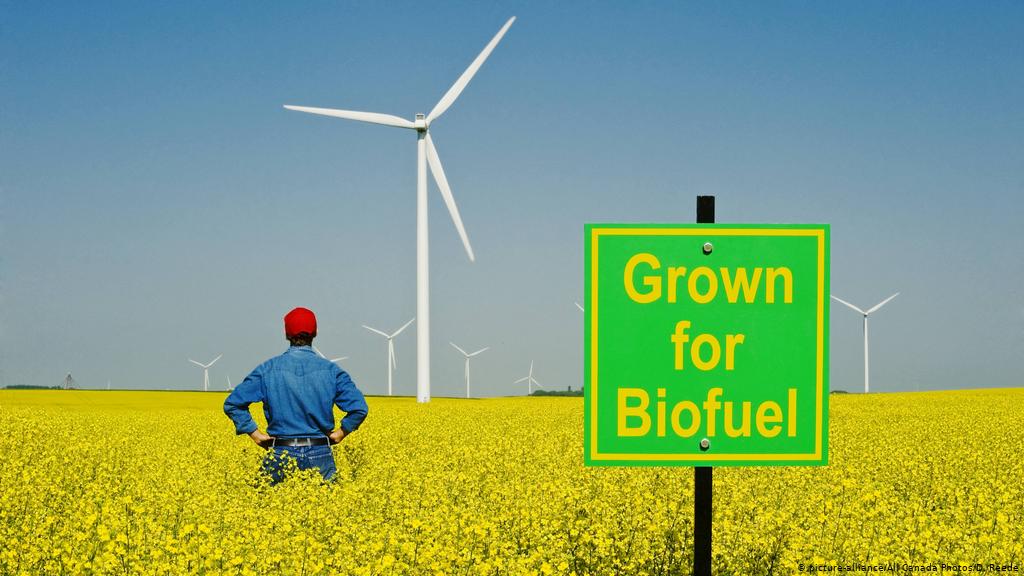 Biomass and Biofuels