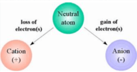 Polyatomic Ions - Grade 12 - Quizizz