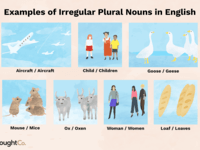 Irregular Plural Forms - Year 10 - Quizizz