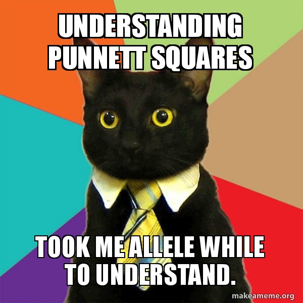 Punnett Squares - Challenge yourself?