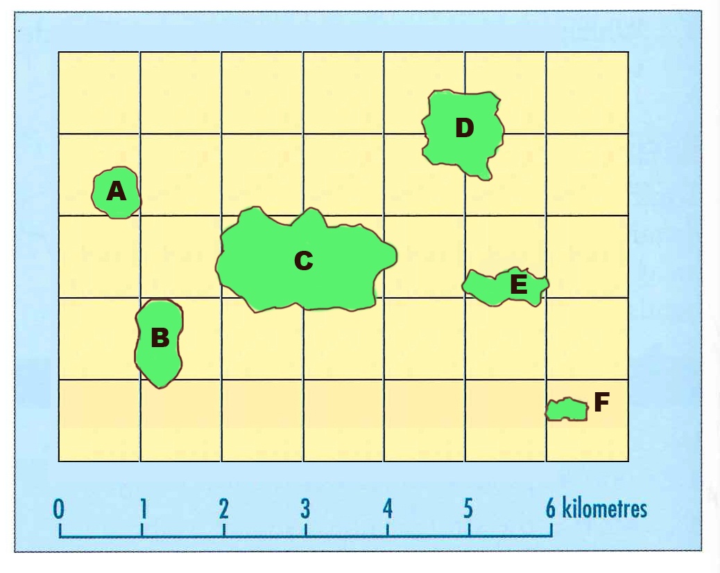 15qs-medium-difficulty-quizizz