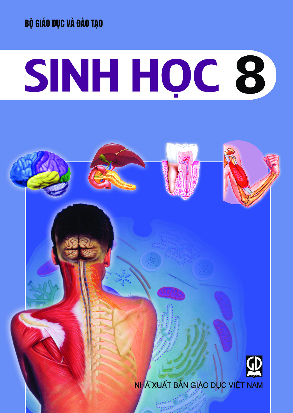 Sách Giáo Khoa Sinh Học 8: Khám Phá Kiến Thức Sinh Học Toàn Diện