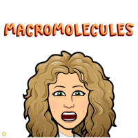 macromoléculas - Grado 11 - Quizizz