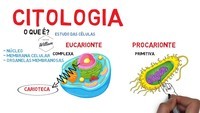 biologia do desenvolvimento - Série 1 - Questionário