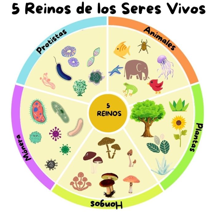 seres vivos y no vivos - Grado 3 - Quizizz