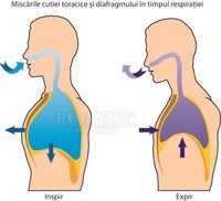 Respiratia in lumea vie - test pentru antrenament