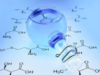 química orgânica - Série 11 - Questionário