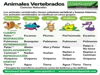 Identificar los opuestos - Grado 3 - Quizizz