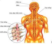 Xã hội học - Lớp 3 - Quizizz