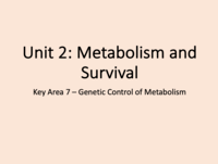 metabolism - Year 10 - Quizizz