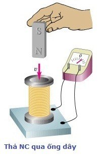 Động từ thì hiện tại - Lớp 11 - Quizizz