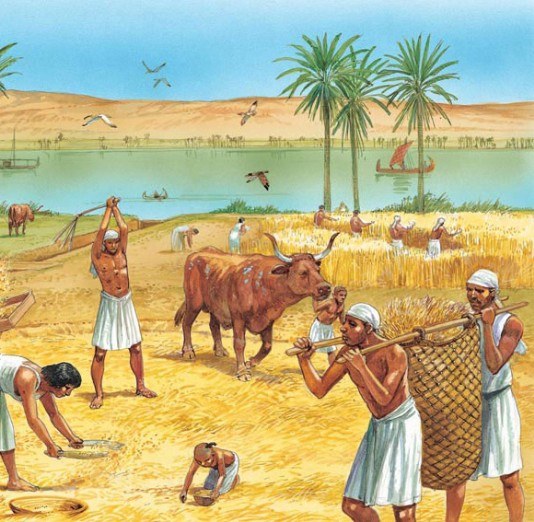 egyptian-farmers-world-history-quiz-quizizz