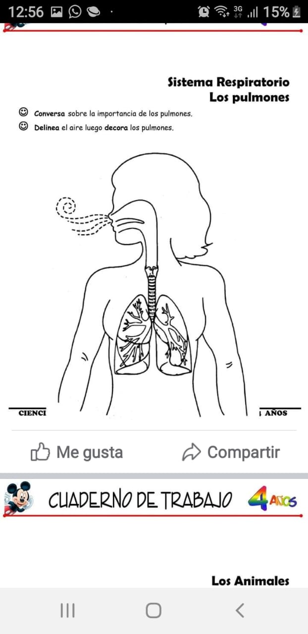 Ciencia de la salud - Grado 4 - Quizizz