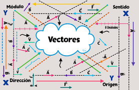 vectores - Grado 12 - Quizizz