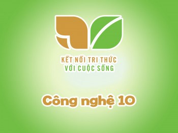 Chọn lọc tự nhiên và thích nghi - Lớp 10 - Quizizz