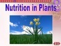 Nutrition in plants (class 7)