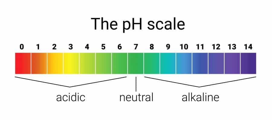 pH Scale | Science - Quizizz