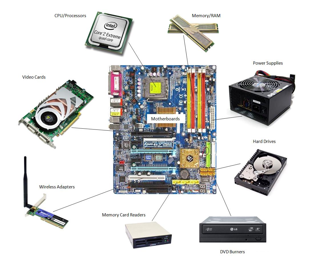 Computer - Class 9 - Quizizz