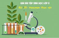 sinh thái - Lớp 11 - Quizizz