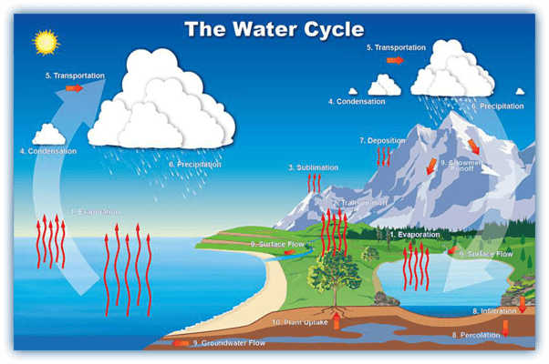 the-water-cycle-earth-sciences-quizizz