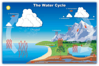 The Water Cycle Earth Sciences Quizizz