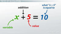 One-Variable Equations - Grade 7 - Quizizz
