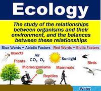 ecology Flashcards - Quizizz