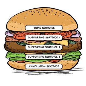 Paragraph Structure - Grade 12 - Quizizz