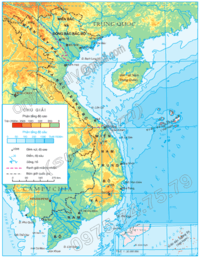 Câu đa dạng - Lớp 12 - Quizizz