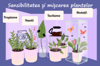 Sensibilitatea și mișcarea plantelor