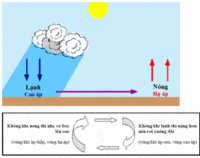 cầu và độ co giãn của giá - Lớp 6 - Quizizz