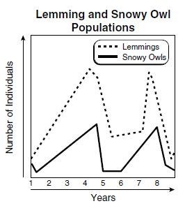 The Lesson of the Lemmings: Schools as Ecosystems (Opinion)