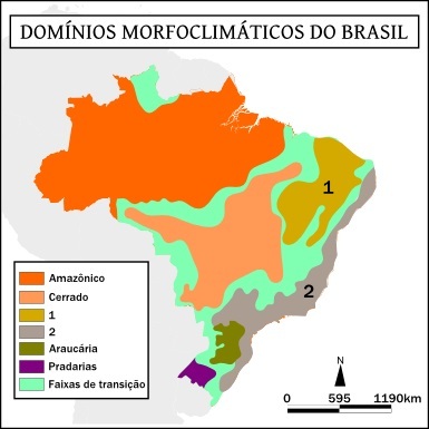 Domínios morfoclimáticos brasileiro worksheet