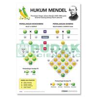 elektrolisis dan hukum faraday - Kelas 5 - Kuis