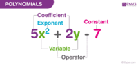 Polynomial Operations - Year 6 - Quizizz