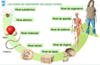 Ciencia medioambiental Tarjetas didácticas - Quizizz