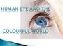 Human eye and colourful world