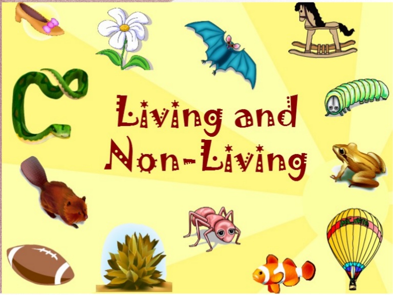 living and non living things - Class 7 - Quizizz