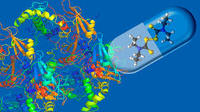 enzymes - Year 4 - Quizizz