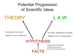theory vs law vs hypothesis quizlet